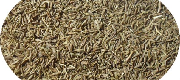 Kreuzkümmel Cumin ganz & gemahlen