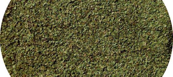 Kerbel – Blätter gerebelt
