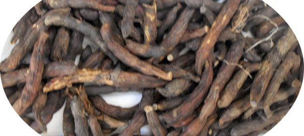 Langpfeffer Stangenpfeffer ganz