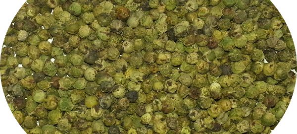 Grüner Pfeffer ganze Körner