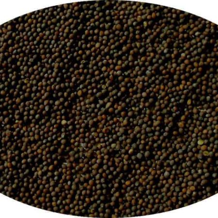 Senf Samen ganz & gemahlen - 100g Samen braun