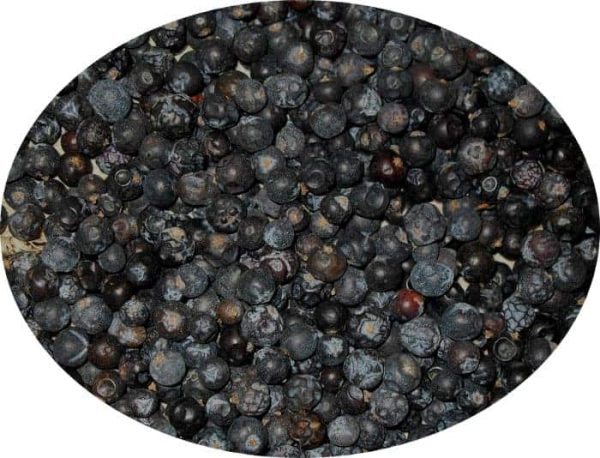 Wacholderbeeren
