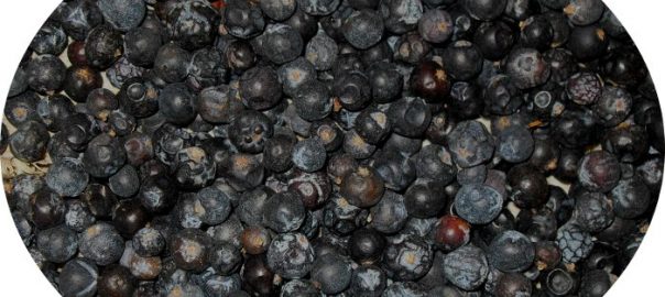 Wacholderbeeren