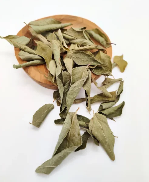 Getrocknete Curryblätter auf Holzschale