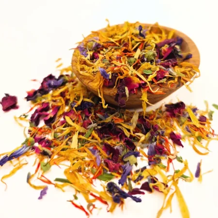 Bunte getrocknete Blumen und Kräuter