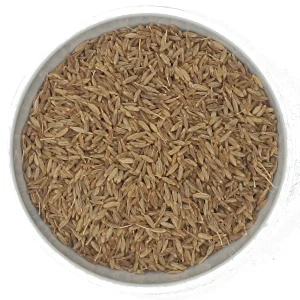 Kreuzkümmel Cumin ganz & gemahlen