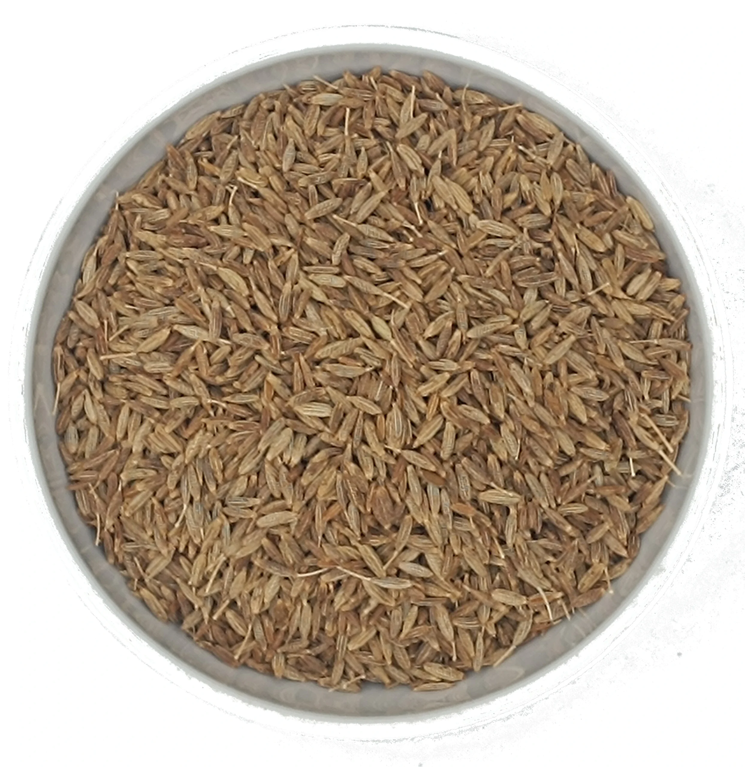 Kreuzkümmel Cumin ganz & gemahlen