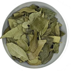 Curryblätter getrocknet indische Küche