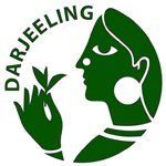 darjeeling first flush