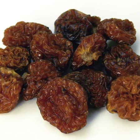 Physalis