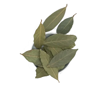 Ganz Lorbeerblätter