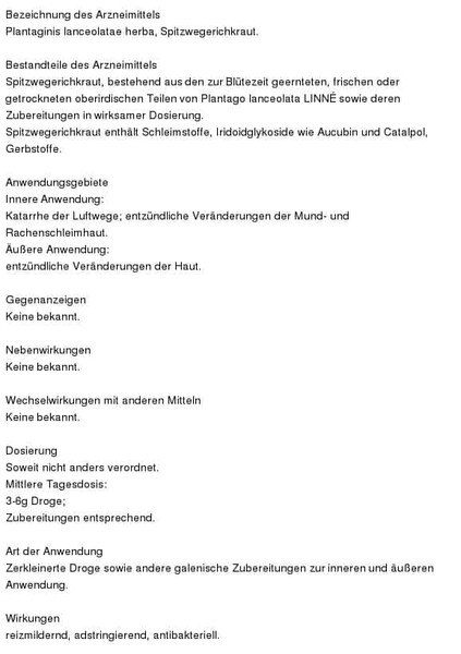 Spitzwegerich Tee